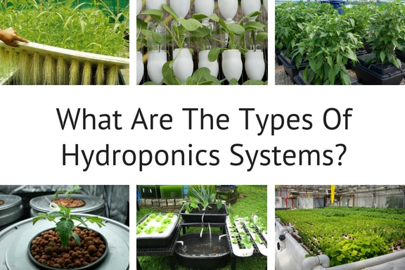 What Are The Types Of Hydroponics Systems