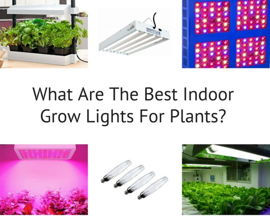 What are the best indoor grow lights for plants
