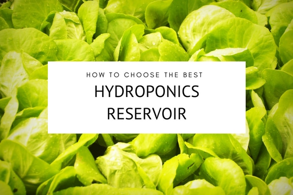 how to choose the best hydroponics reservoir