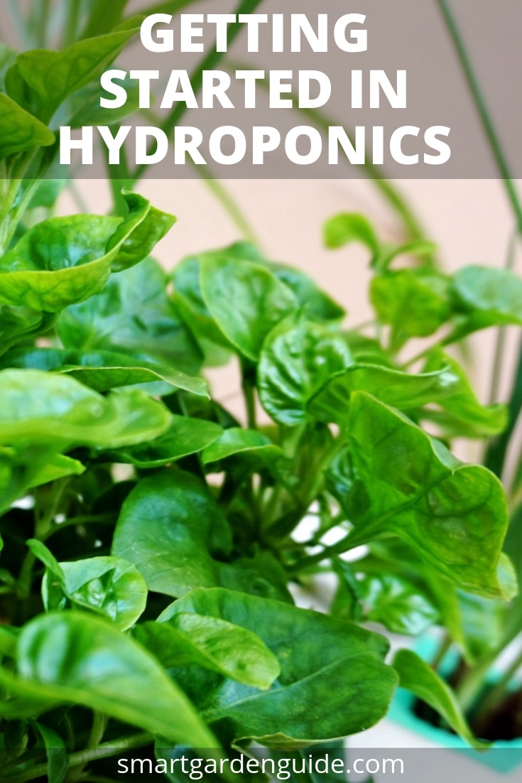 getting started in hydroponics