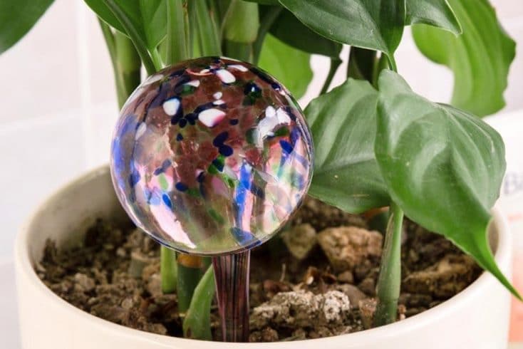 Unbreakable Plastic Balls Indoor Plants Watering Device None branded Auto Self Watering Plant Bulbs Large, Clear 1pc Watering Globes for Plant 