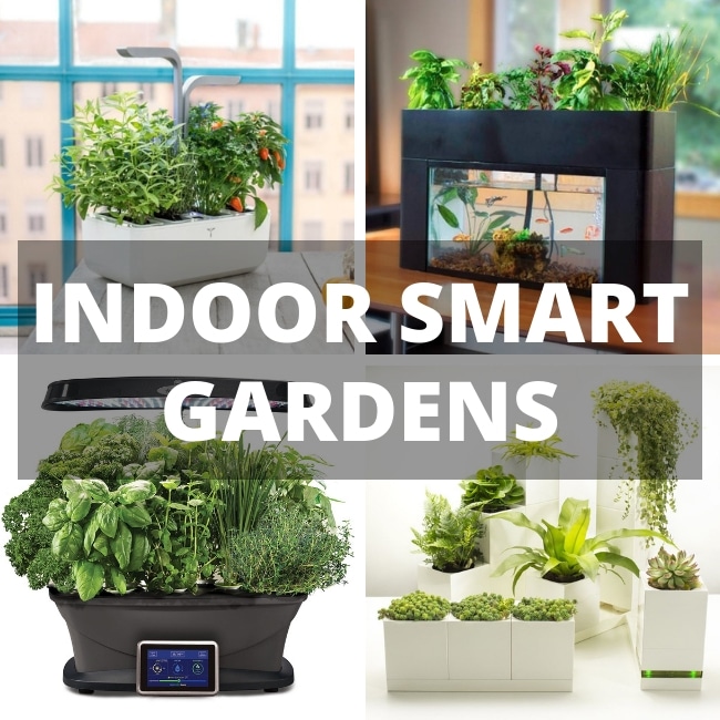 Indoor smart gardens