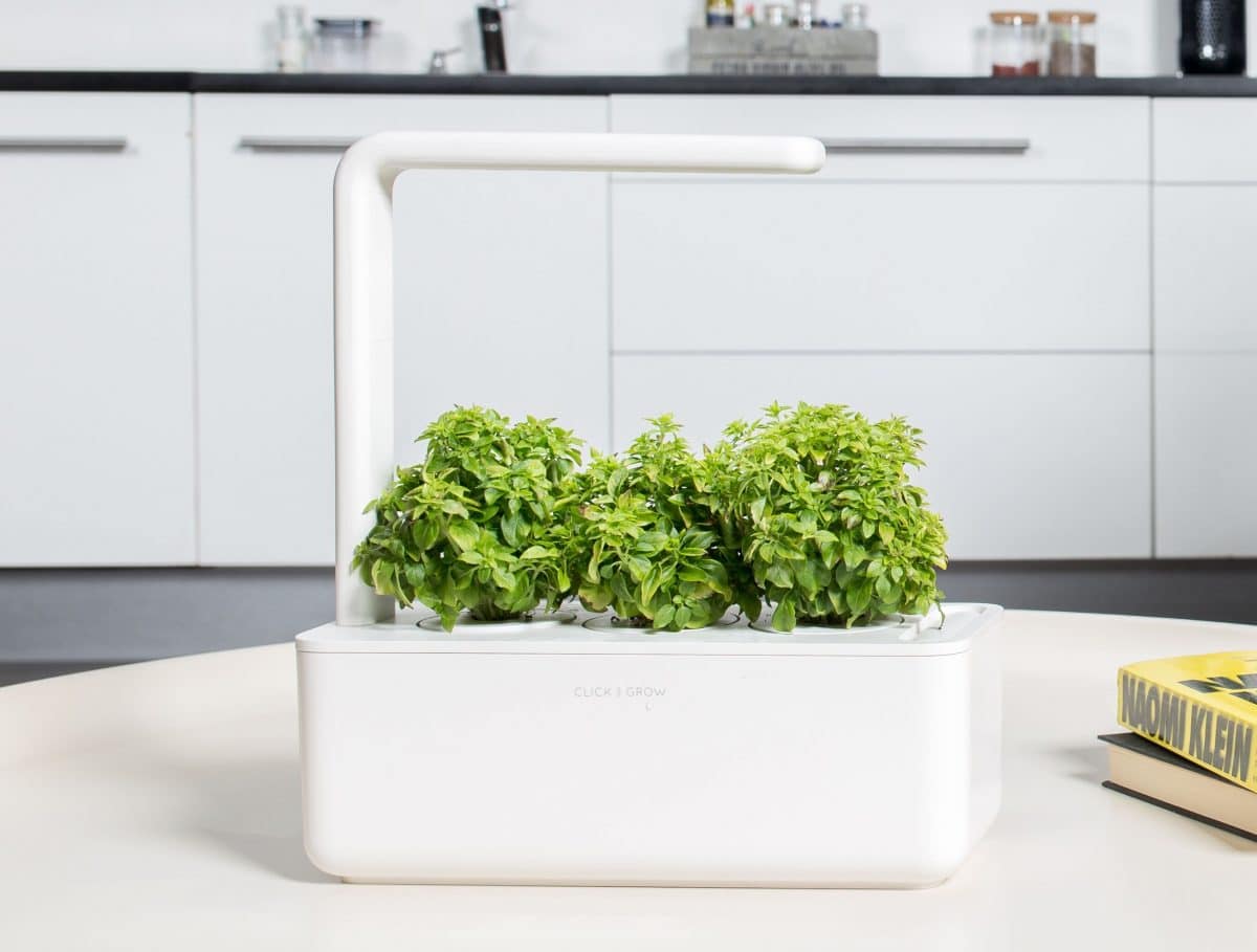 Beige Includes Basil Capsules Click and Grow Smart Garden 3 Indoor Gardening Kit