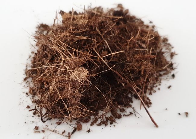 coconut coir alternatives to peat moss