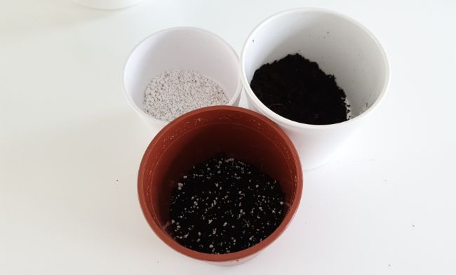 choosing correct soil to repot calathea after division